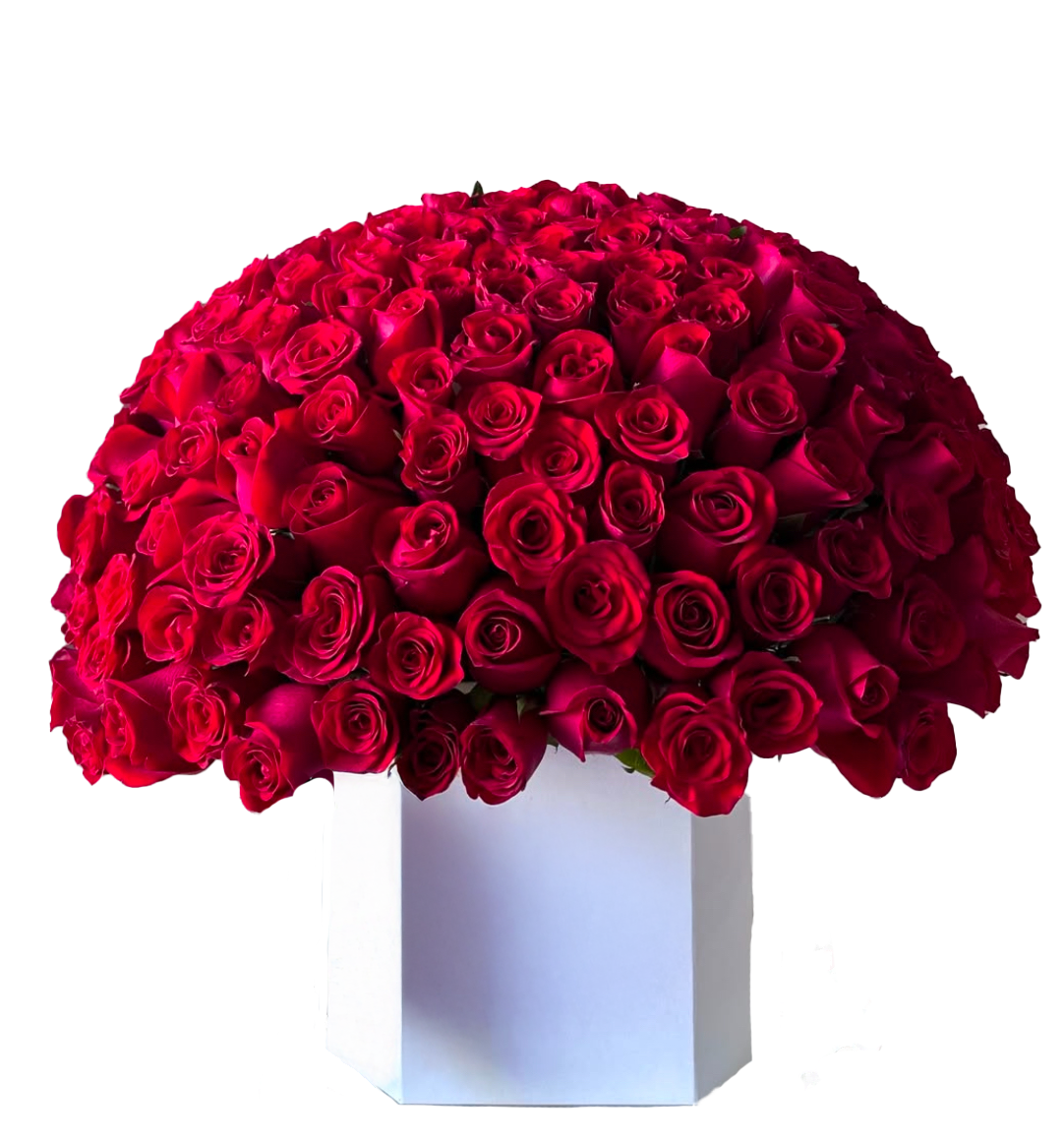 Garden Bloom
