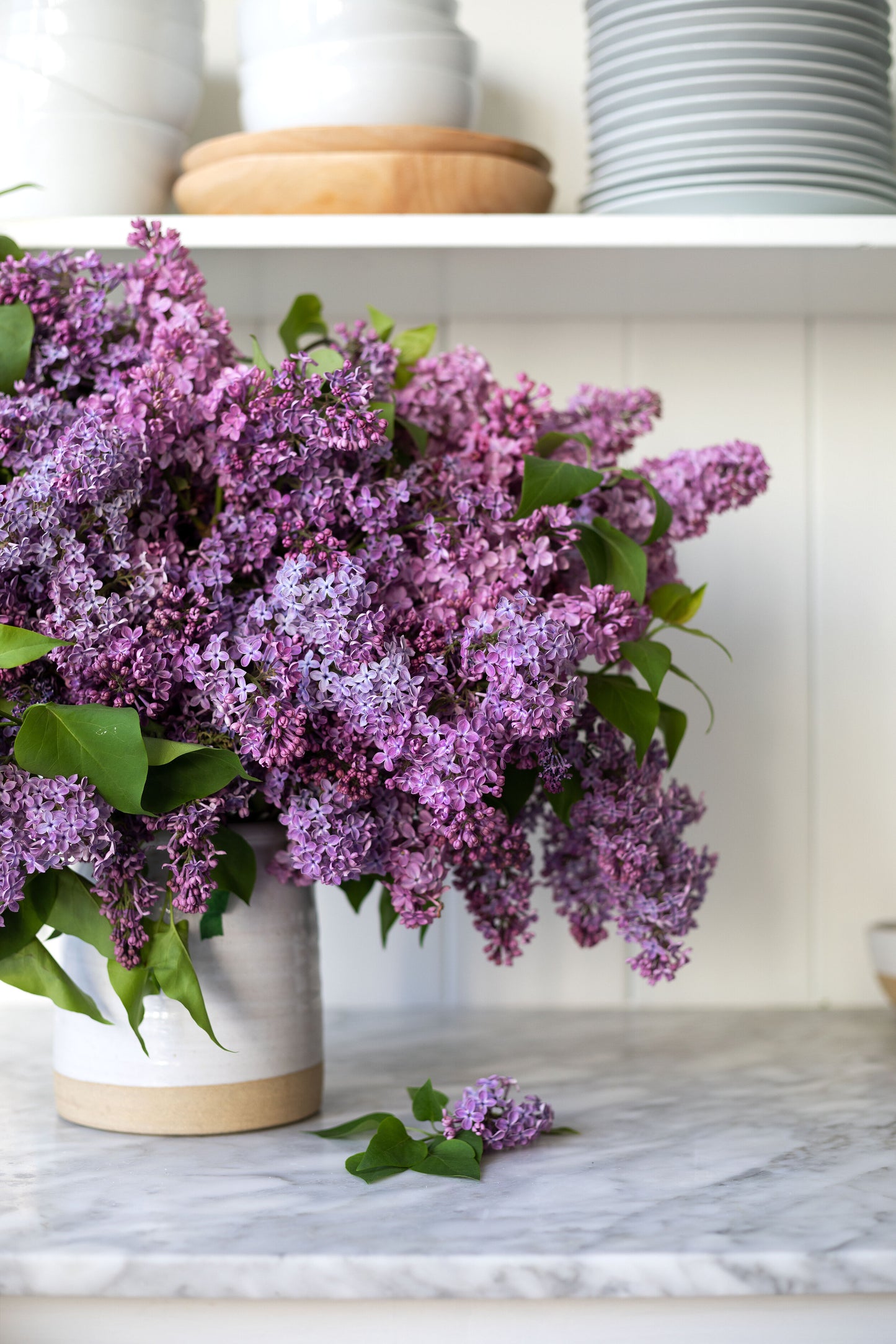 Just Lilac Bouquet