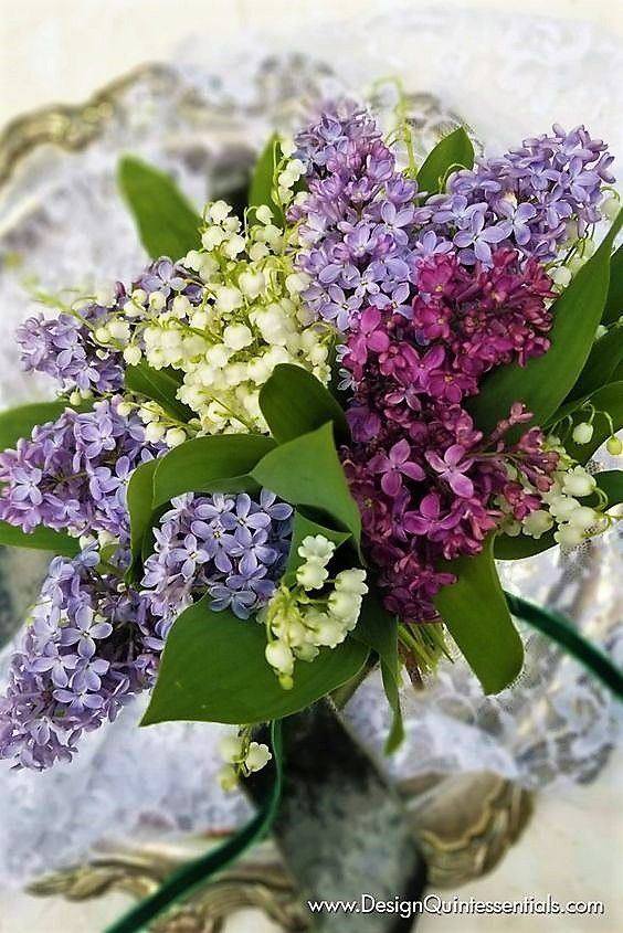 Just Lilac Bouquet