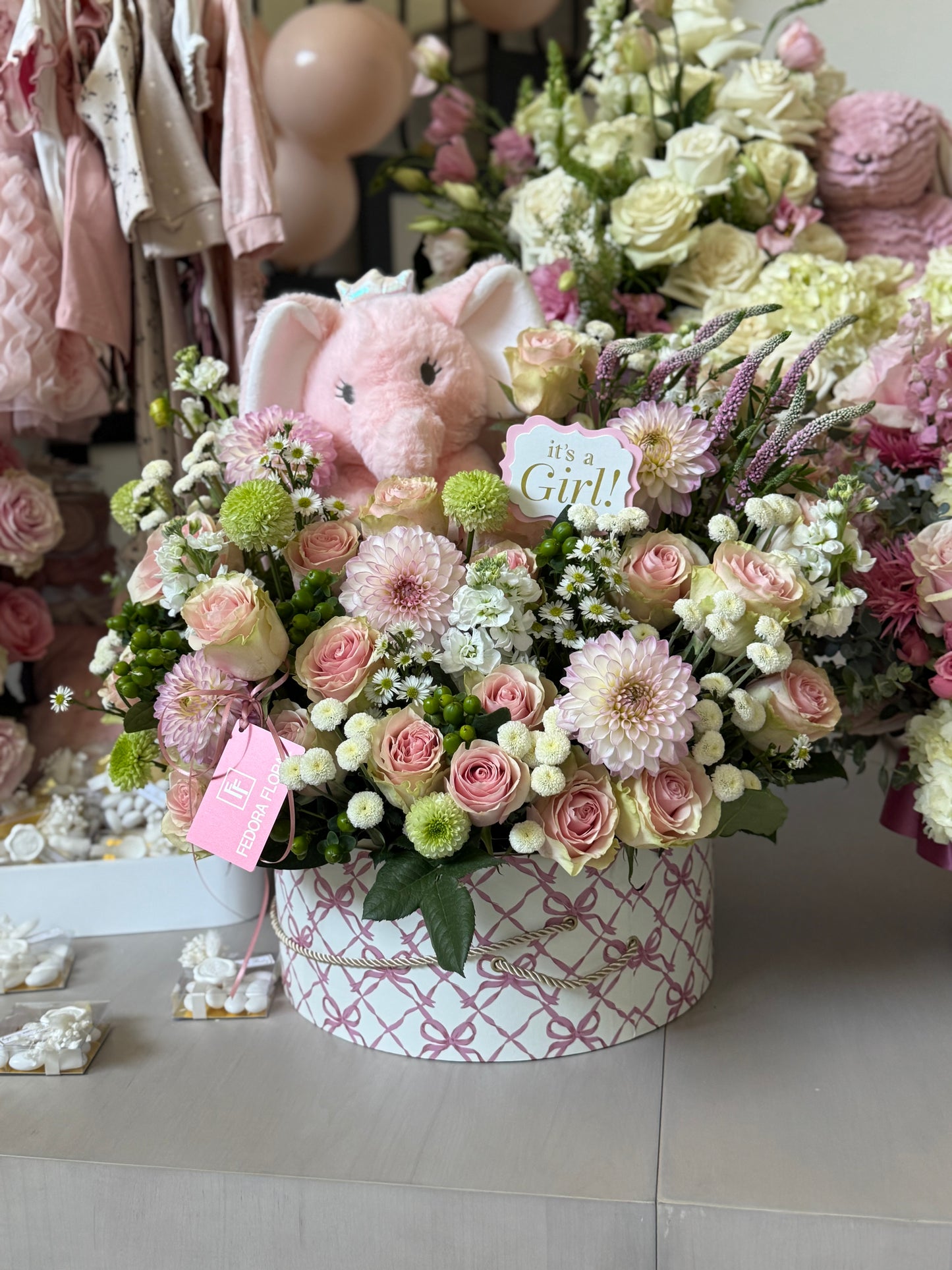 Baby Collection