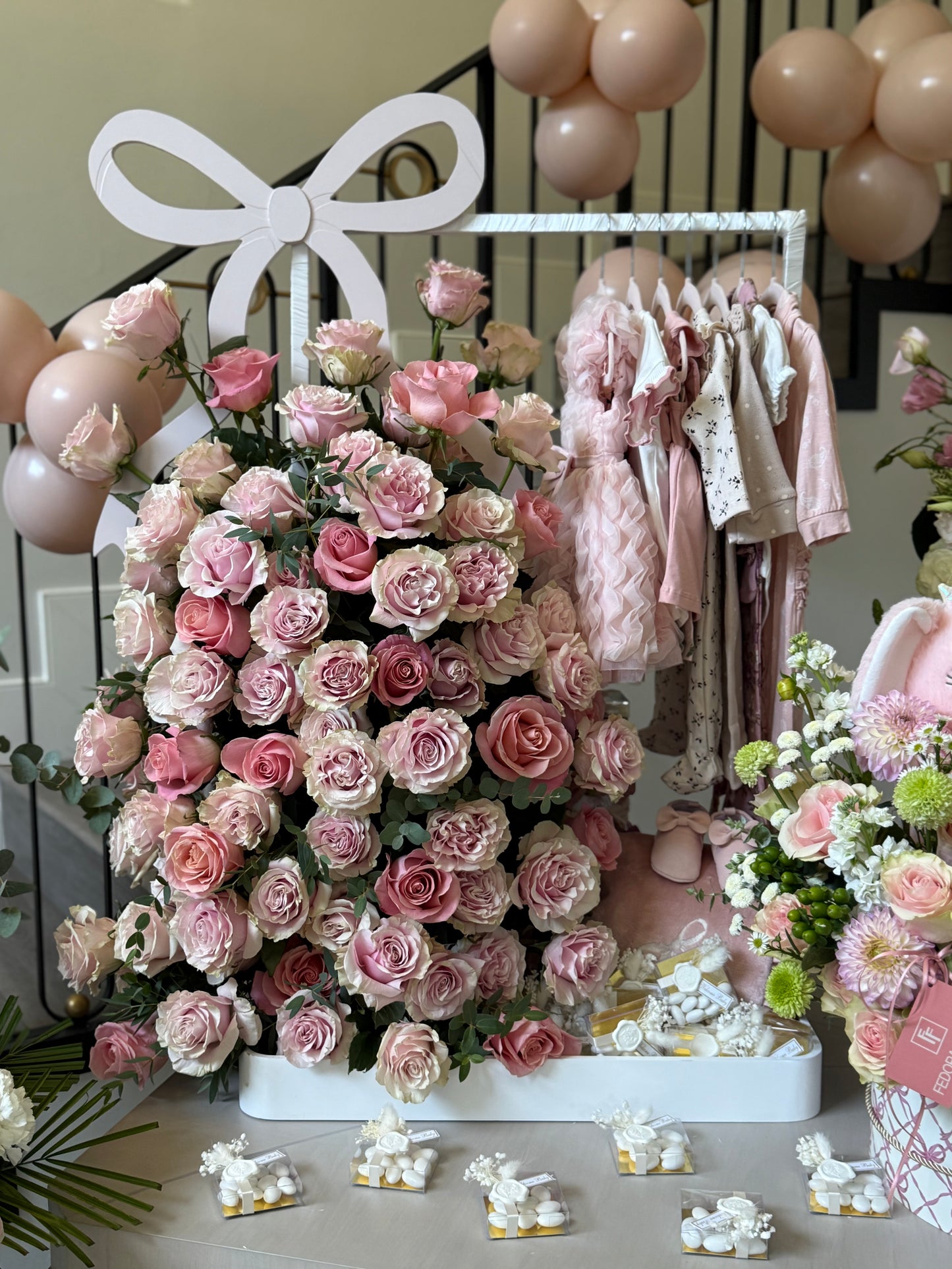 Baby Collection