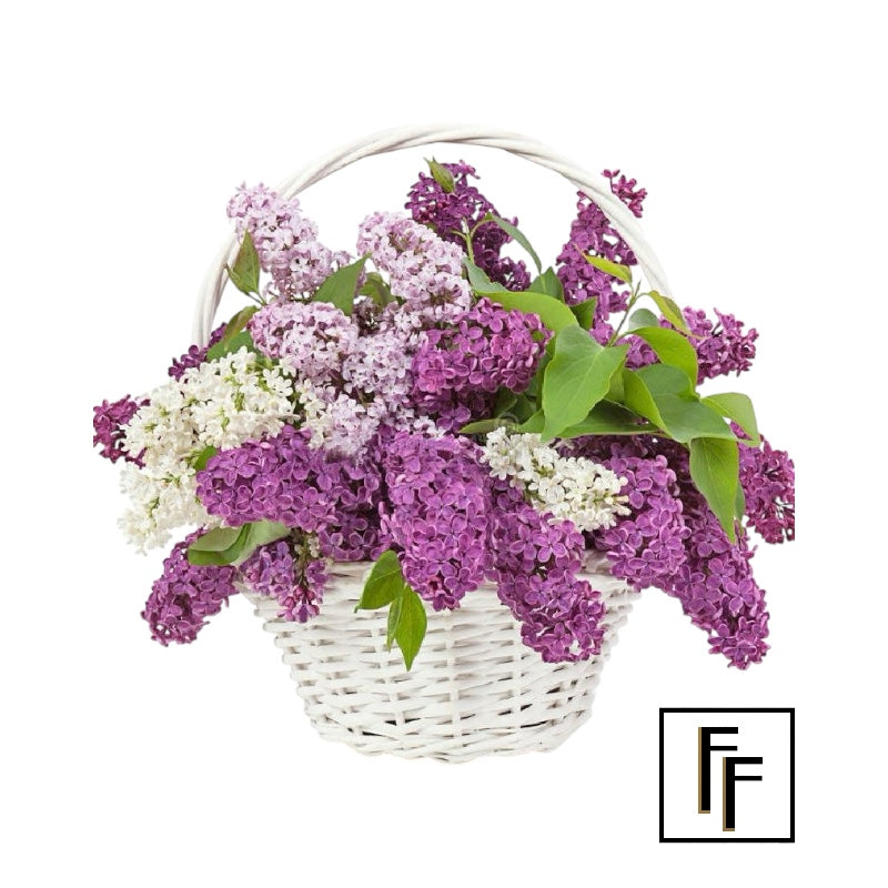 Just Lilac Bouquet