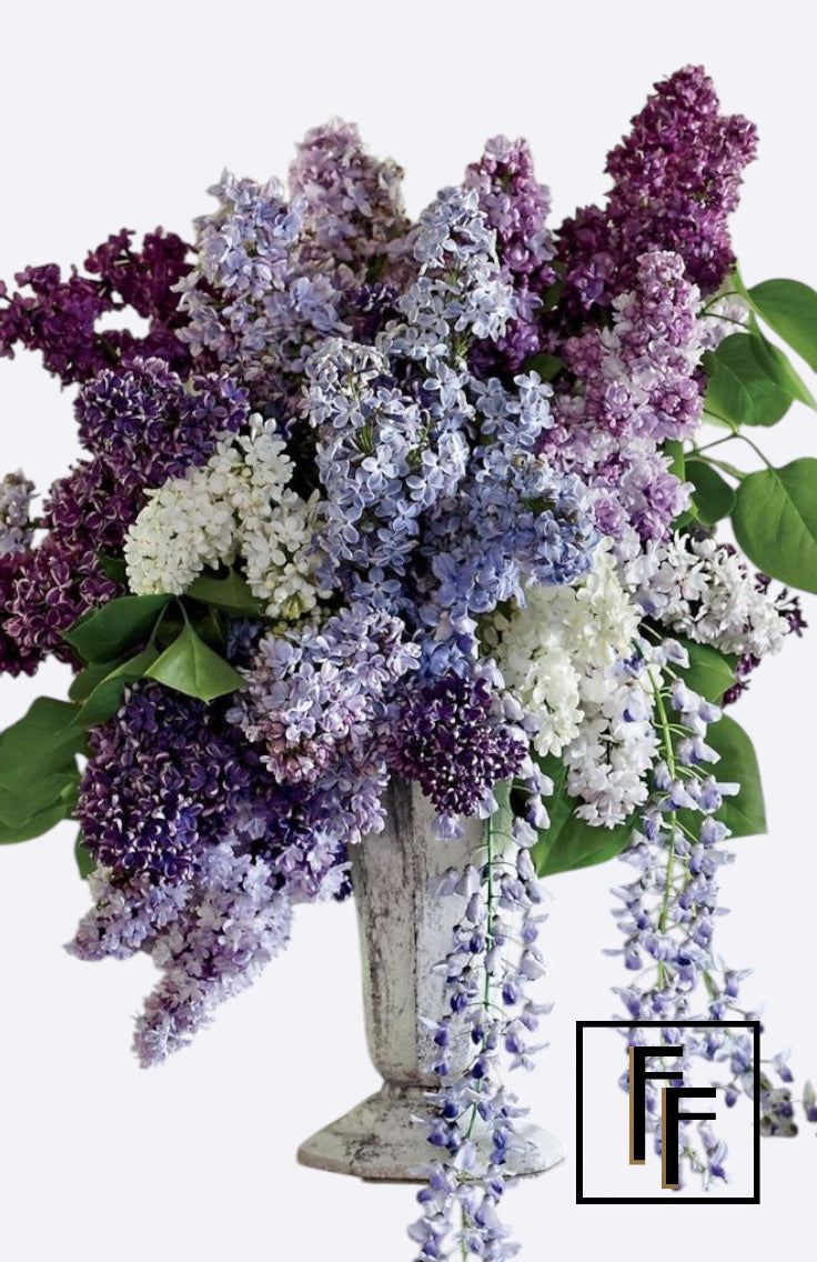 Just Lilac Bouquet
