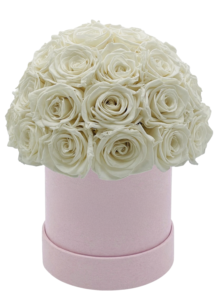 Rose Every Day