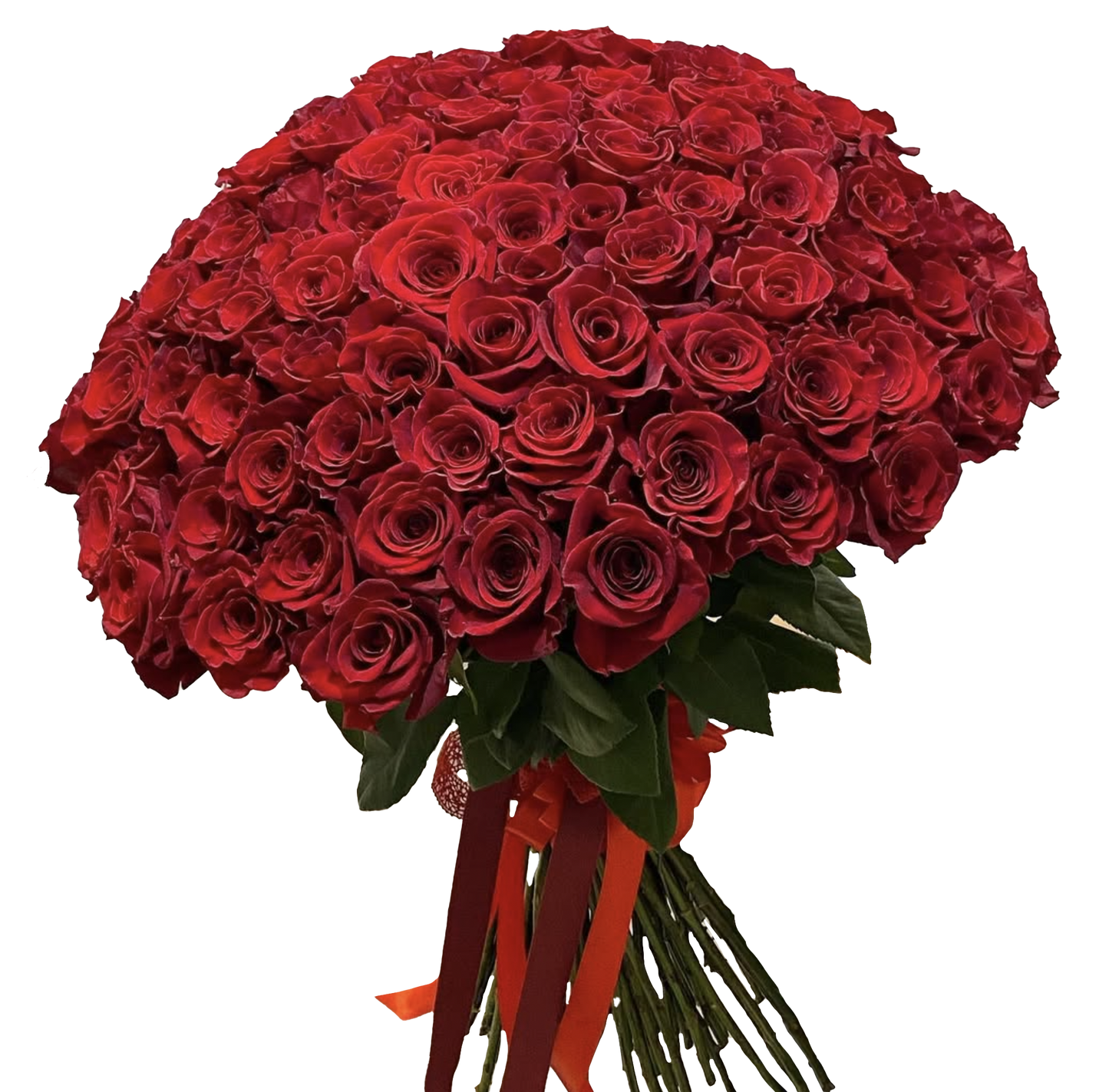 FF Just a Rose