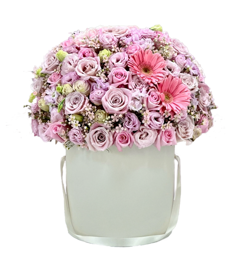 Garden Bloom
