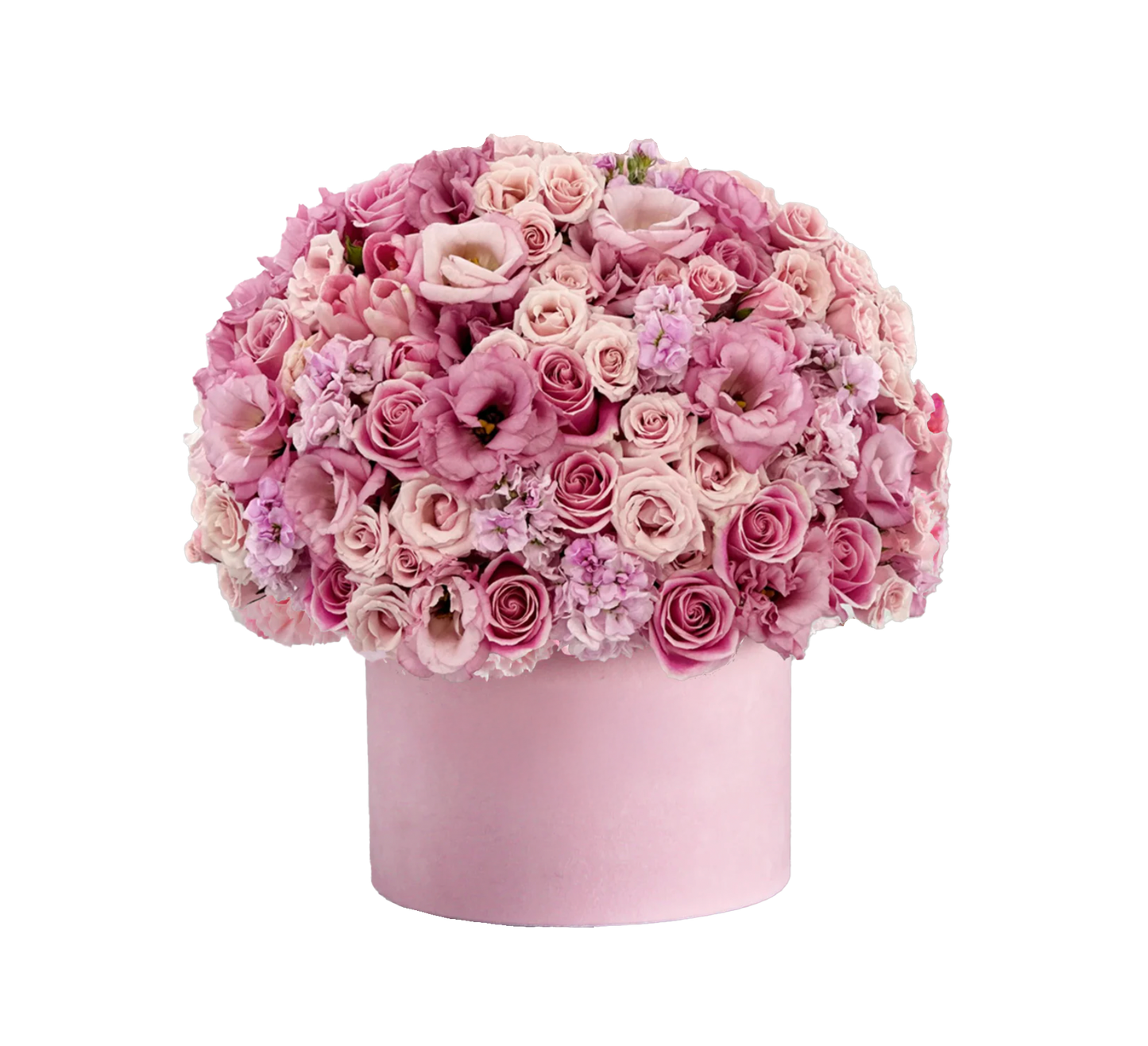 Garden Bloom
