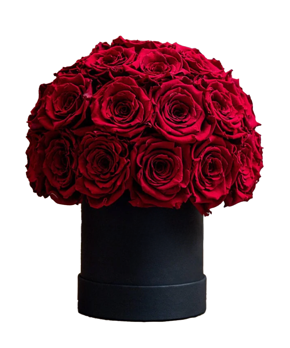 Rose Every Day