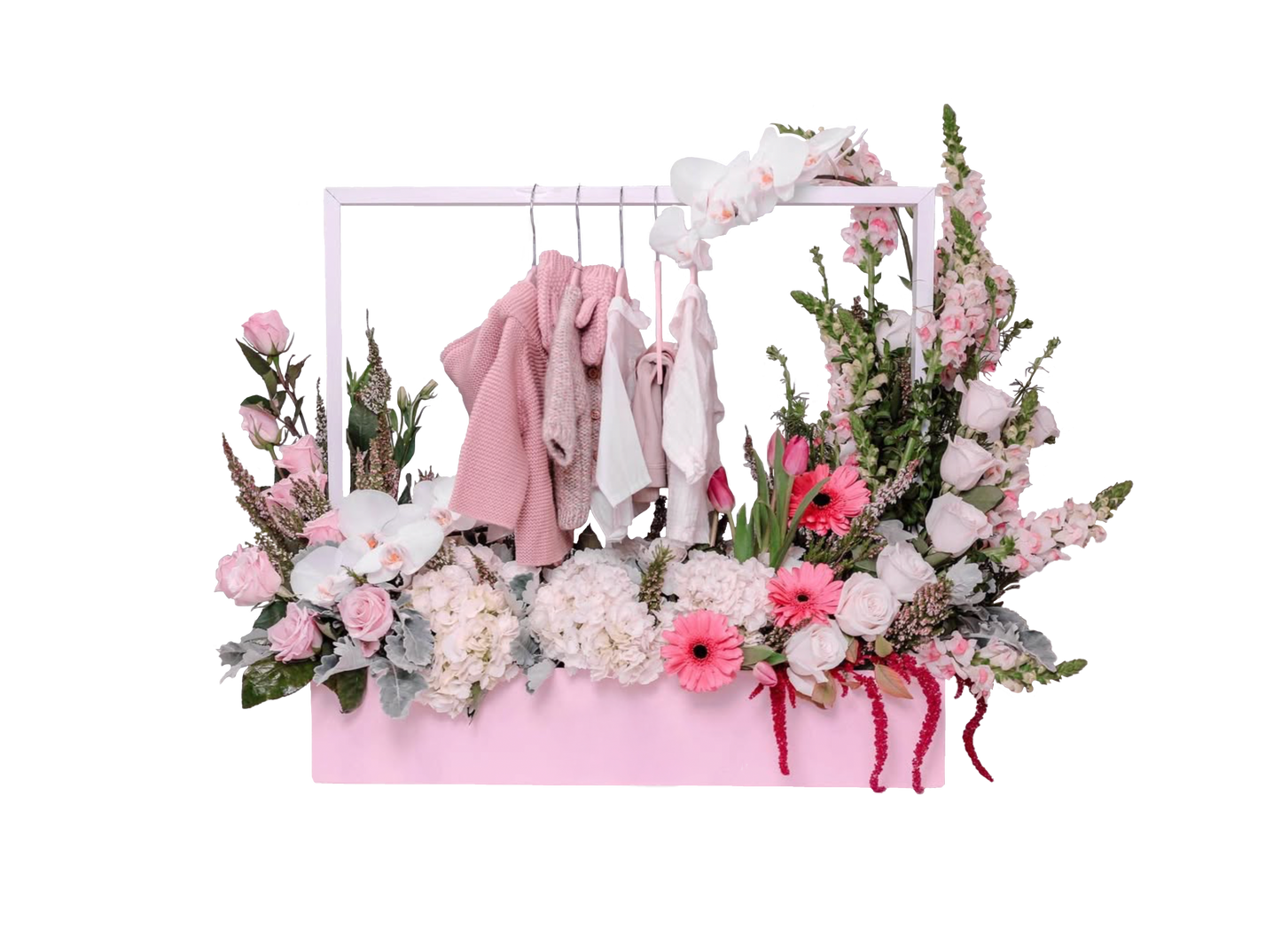 Baby Collection