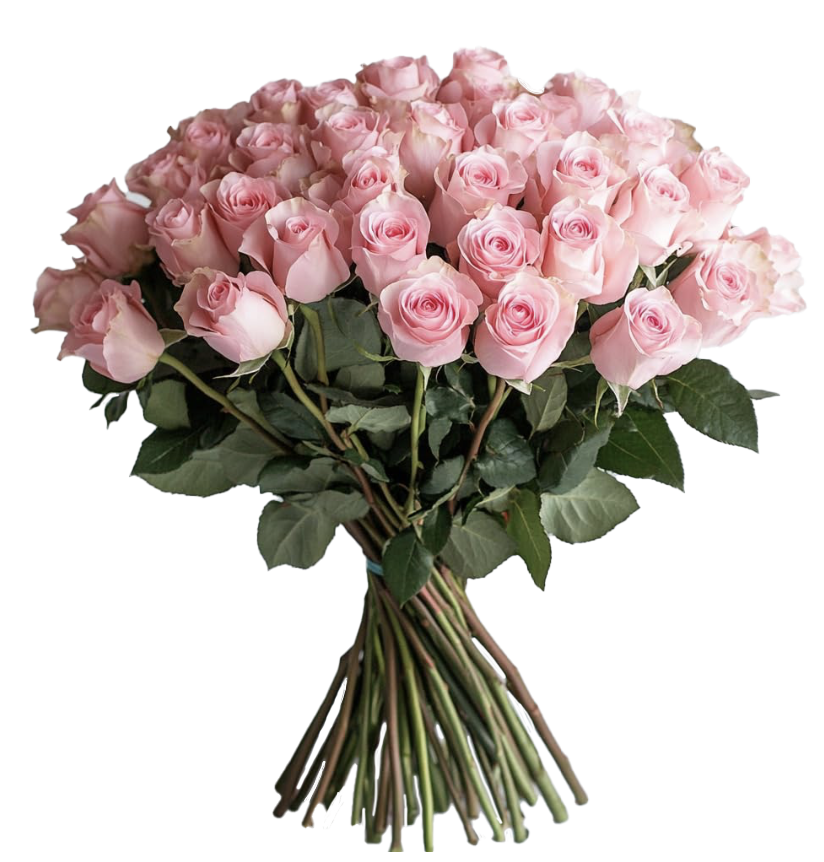 FF Just a Rose