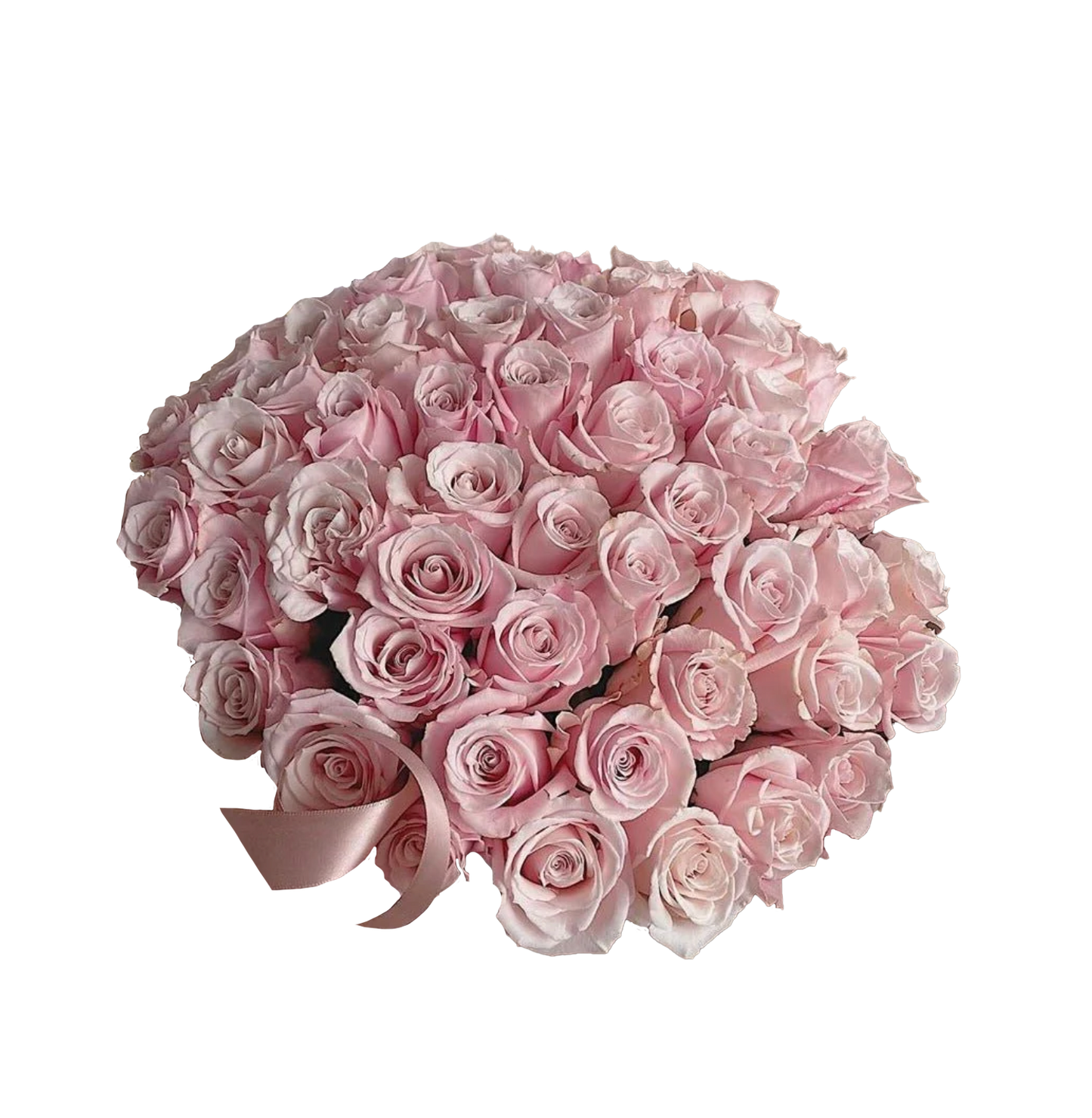 FF Just a Rose
