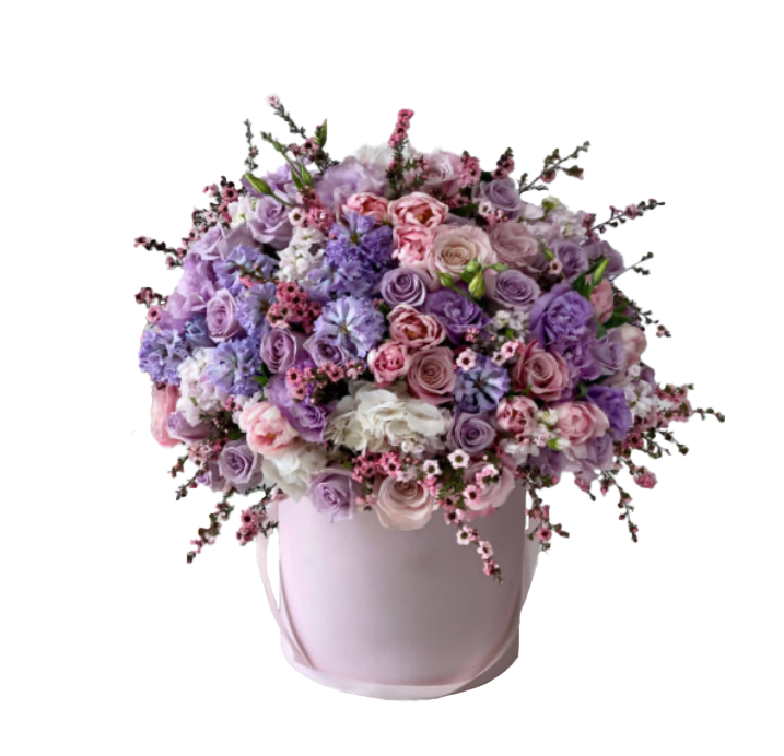 Garden Bloom