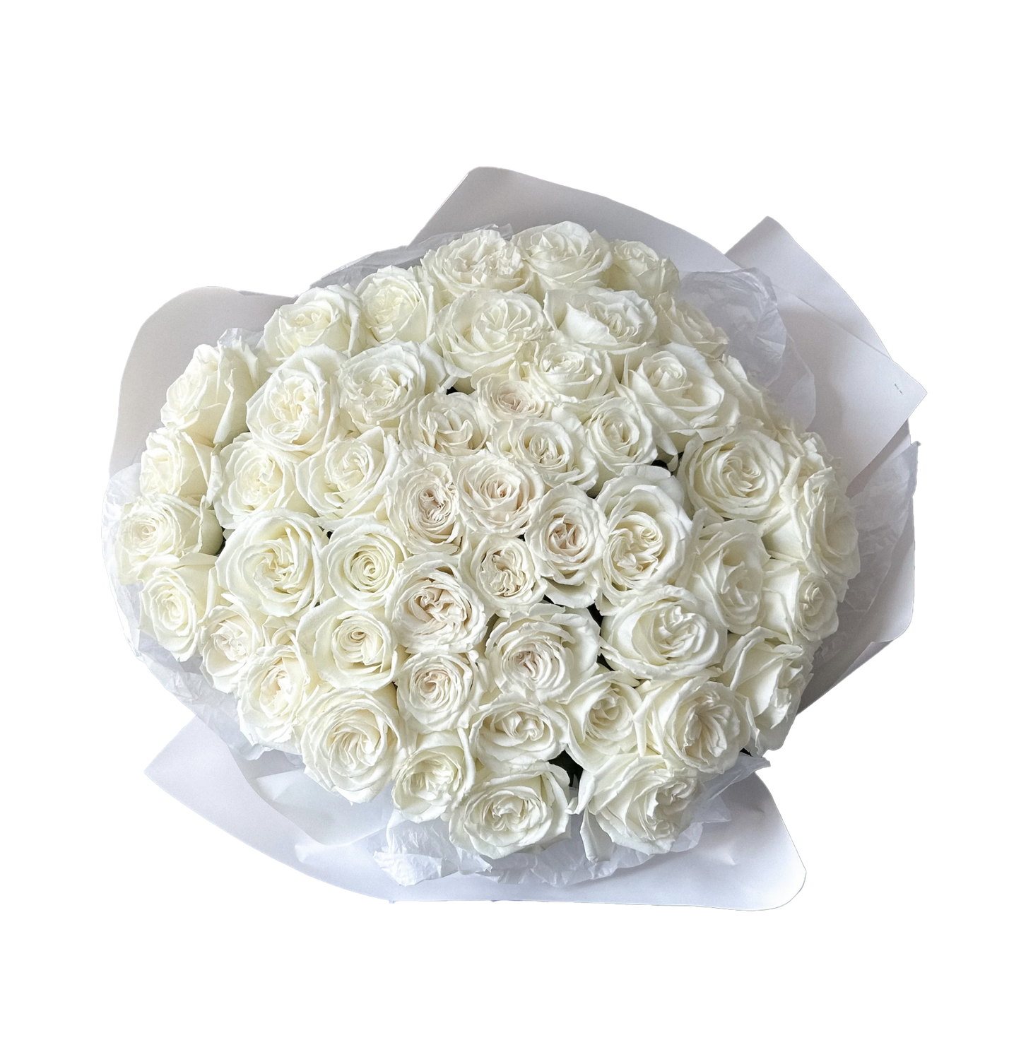 FF Just a Rose