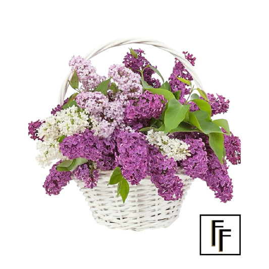 Just Lilac  Bouquet